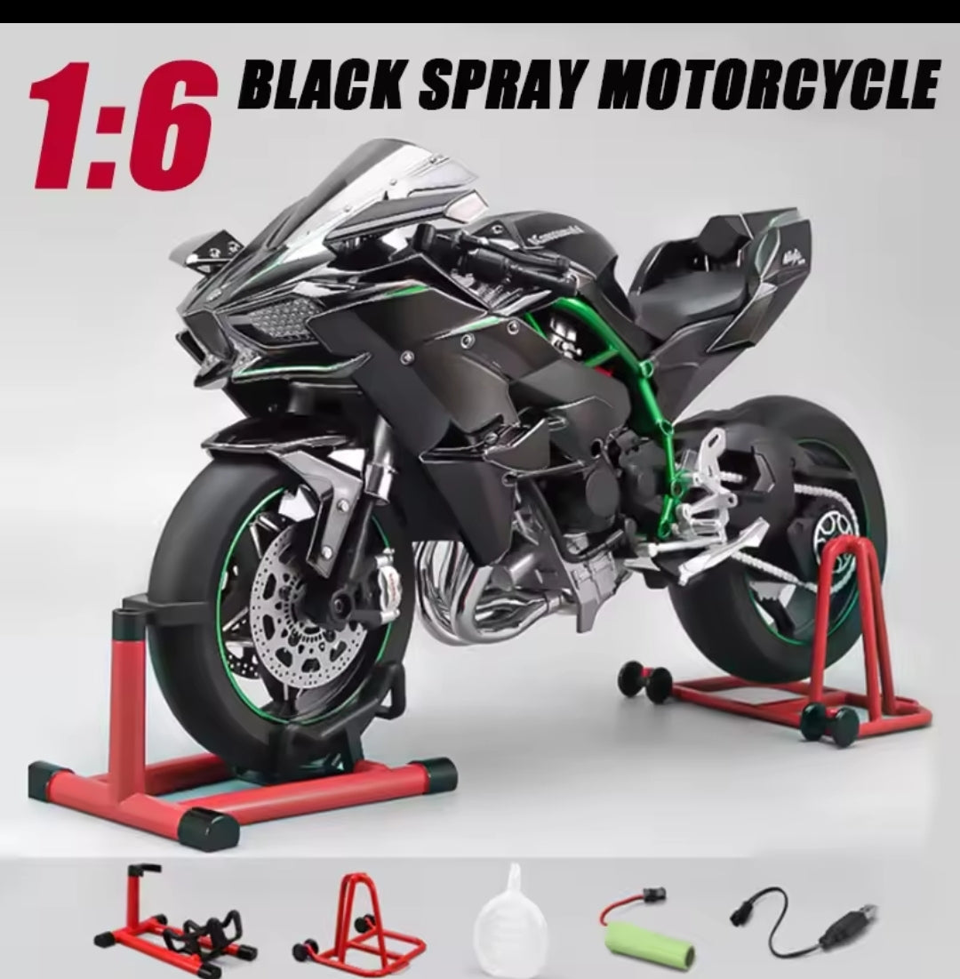Spray Kawasaki 1:6 Alloy Racing Model