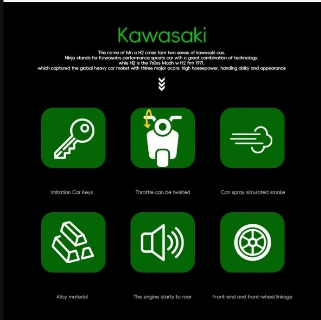 Spray Kawasaki 1:6 Alloy Racing Model